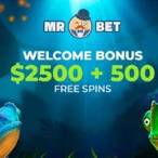mr bet casino erfahrungen